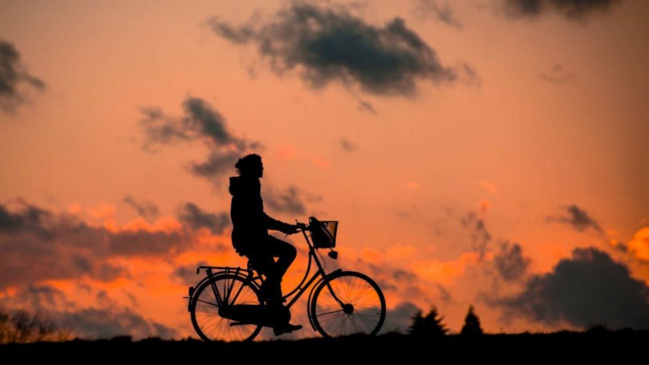 A cyclist rides against a vibrant sunset, capturing the essence of freedom and adventure.