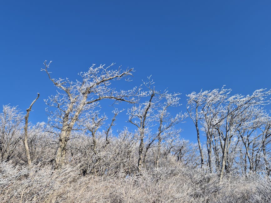 Spiritual meditation image: calm peaceful nature serene