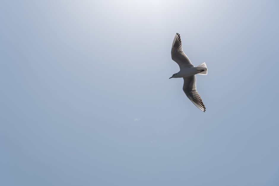 Peaceful ocean scene featuring gentle waves under a clear blue sky, ideal for relaxation concepts.