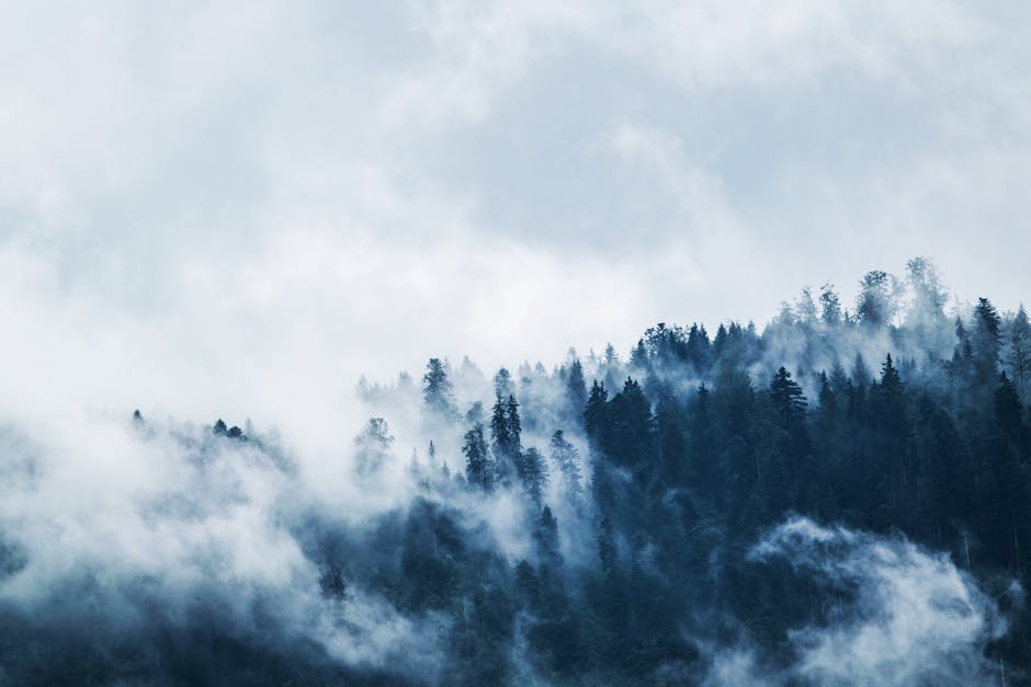 Spiritual meditation image: foggy mountains mist dark atmospheric
